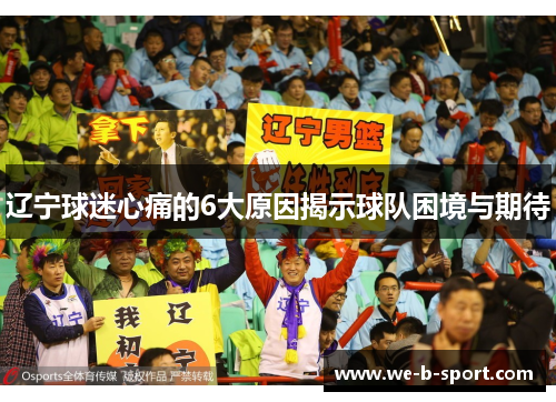 辽宁球迷心痛的6大原因揭示球队困境与期待